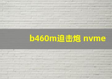 b460m迫击炮 nvme